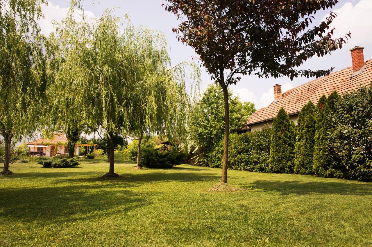 Angelika Vendeghaz Apartment Dinnyes Exterior photo